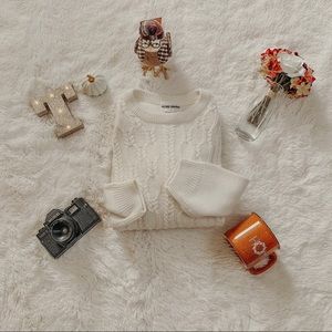 Vintage Alfred Dunner Cream Grandma Sweater SZ 3X